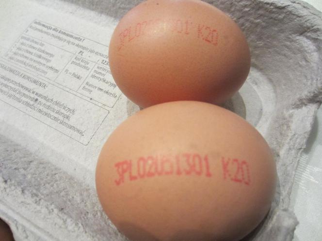 Obrzydliwe znalezisko w jajku kupionym we Wrocławiu