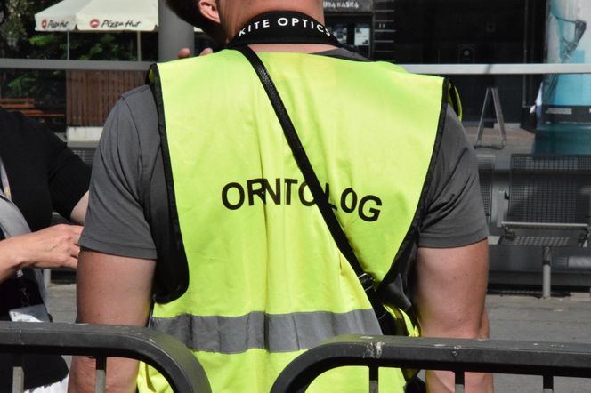 Eksmitują gołębie z "Grubej Kaśki" na czas remontu