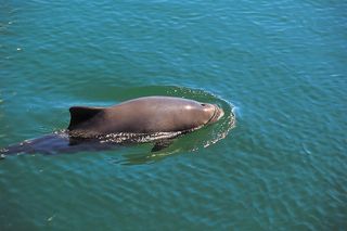 Wakacje nad morzem – jak przygotować się do wakacyjnych eskapad jednocześnie szanując przyrodę? 