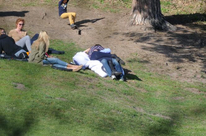 Miłość Rusin na trawie