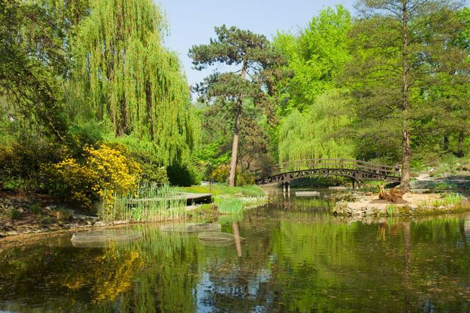 Ogród Botaniczny we Wrocławiu