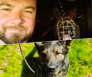 Włamał się do trafostacji – zatrzymany przez policjanta z psem służbowym