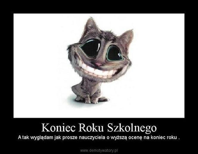 Zakończenie roku szkolnego - memy