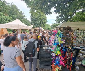 Smoczy Piknik Rodzinny 2025 w Krakowie