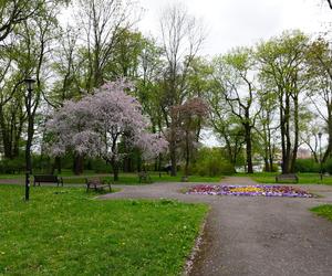 Tak Park Bronowice w Lublinie wygląda wiosną. Wkrótce przejdzie rewitalizację. Zobacz zdjęcia! 