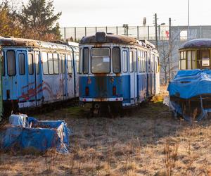 Zobacz kolekcję starych tramwajów w prywatnym ogrodzie - zdjęcia. Wagony stoją na działce w Warszawie