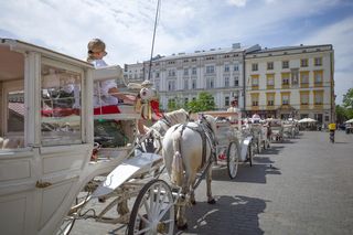 Nie dla krakowskich dorożek na liście niematerialnego dziedzictwa. „To barbarzyński obyczaj, a nie kultura”