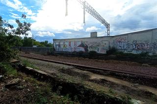 Ze skarpy przy stacji Szczecin Turzyn zniknęły drzewa