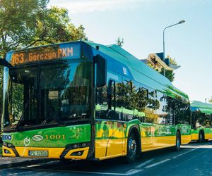 Na ulice Poznania może wyjechać blisko 40 nowych autobusów. Ogłoszono dwa przetargi