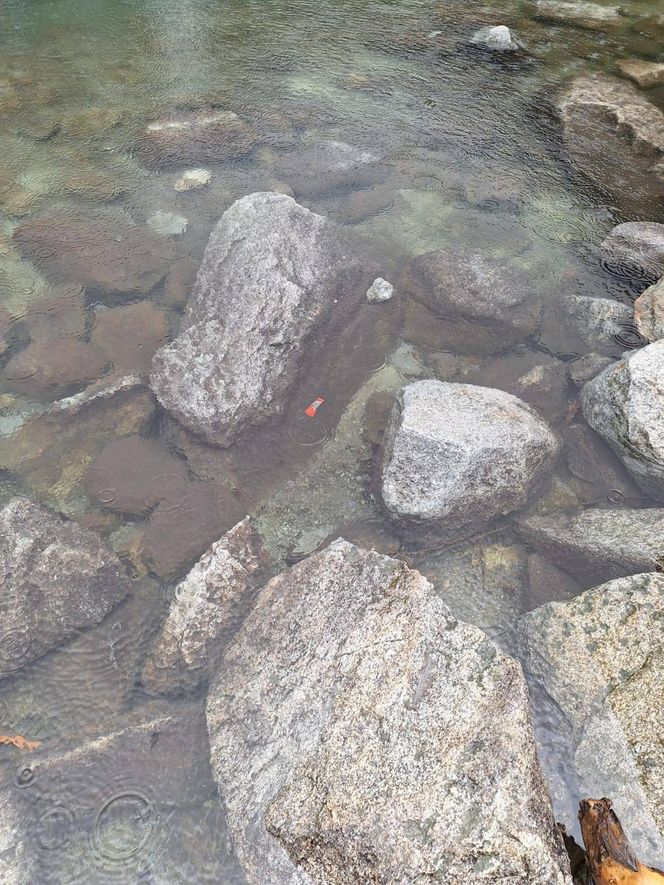 Morskie Oko zaśmiecone jak nigdy. To sprawka turystów. TPN opublikował zdjęcia.