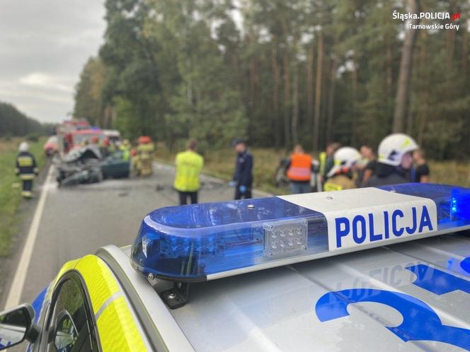 Wypadek na DW908 w powiecie tarnogórskim. Śmigłowiec zabrał 19-latkę do szpitala w Sosnowcu