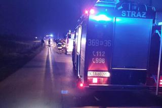 Miechowice Wielkie. Huknął w przydrożne drzewo! Z bmw został wrak