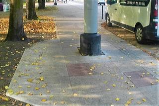 Tor przeszkód dla pieszych na Niebuszewie