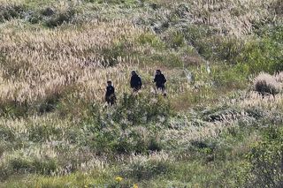 Nie żyje poszukiwany mężczyzna