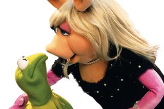Szok!!! Kermit i Piggy się rozwodzą