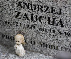 Zastrzelił go mąż kochanki. Mija 31 lat od tragicznej śmierci słynnego piosenkarza Andrzeja Zauchy