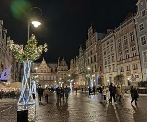 Gdańska choinka rozbłysła. Zobaczcie nasze zdjęcia!