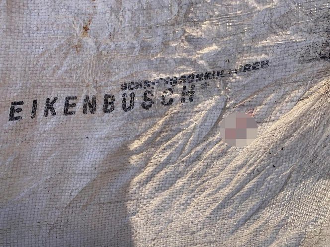 Za zabicie psa idzie za kratki