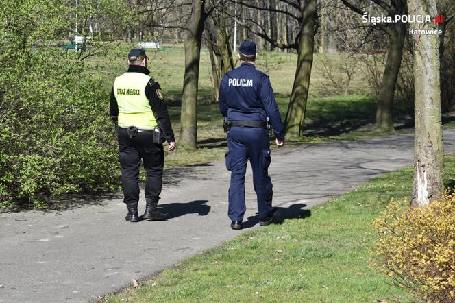 Nowa broń katowickiej policji w walce z nielegalnymi spacerowiczami [ZDJĘCIA]