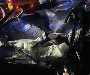 Wichura zmiotła drzewo na samochód. Ojciec i córka poszkodowani