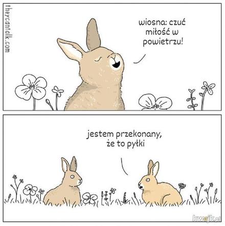 Memy na wiosnę 2023. Te najlepsze obrazki rozbawią Cię do łez!
