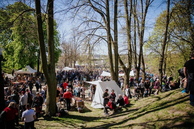 Turniej Rycerski na Zamku w Iłży. Dwa dni żywej lekcji historii 