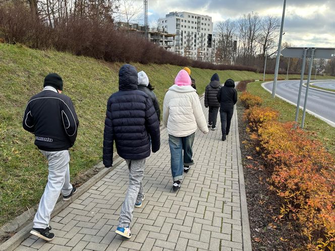 Na olsztyńskich ulicach pojawiły się „poobijane” misie. O co chodzi?