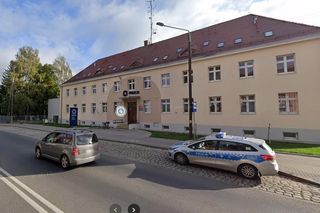 Żółw na drodze niedaleko Wschowy. Policja szuka właściciela