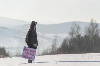 Goryl z kurczakiem przegnali myśliwych