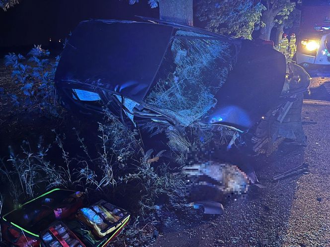 ​Samochód osobowy uderzył w drzewo. Groźny nocny wypadek w Lesznie
