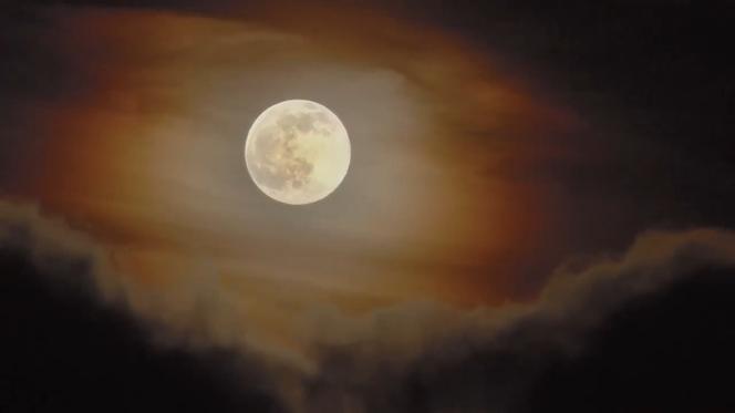 SPEKTAKULARNA pełnia Wilczego Księżyca. Zobacz WYJĄTKOWY film i zdjęcia! [WIDEO, GALERIA]