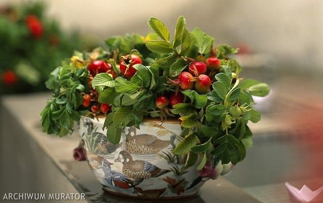 Jesienne bukiety według Marty Gessler. 10 POMYSŁÓW na jesienne dekoracje