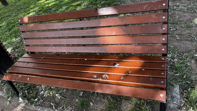 Park Lawendowy na osiedlu TBS w Białymstoku