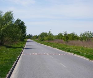 Na prostym odcinku drogi biegnącym przez łąki ustawiono aż osiem progów zwalniających 