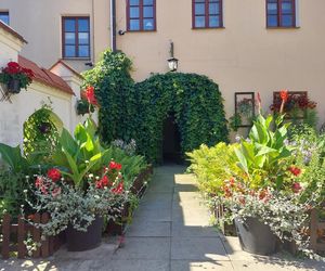 Urokliwe podwórka Starego Miasta w Zamościu