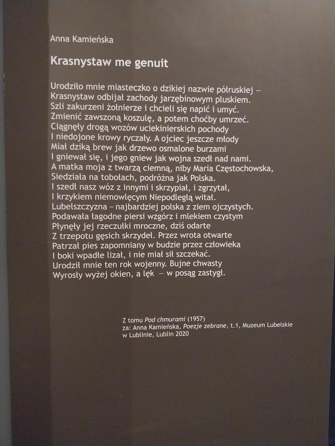 Muzeum Regionalne w Krasnymstawie