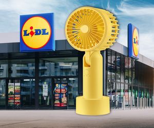 Wentylatory i klimatory  w promocji Lidla!