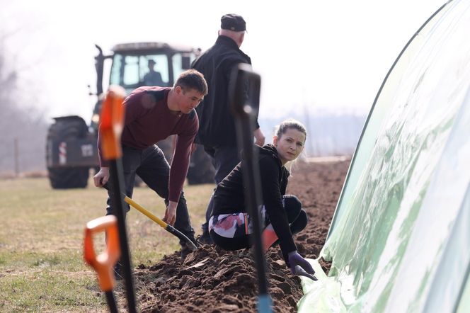 Justyna i Mateusz z serialu Rolnicy. Podlasie