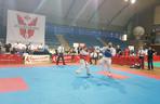 Mistrzostwa Karate Kyokushin w Dąbrowie Górniczej