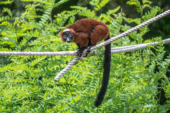 Teściowa pogodziła się z zięciem