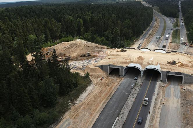 Obwodnica Wąchocka (31.07.2024)