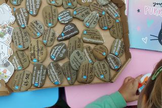 Korytarz Życia dla Kotów to akcja fundacji Mam kota na punkcie psa z Czechowic-Dziedzic