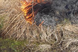 Małopolska: podpalił łąki i... przytruł się z dymem. A to jeszcze nie wszystko!