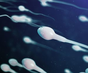 Właściwości spermy. Co w sobie ma poza plemnikami? Warto ją łykać?