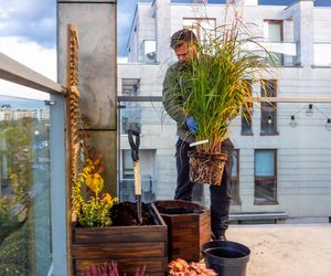 Jesienna metamorfoza balkonu