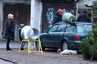 Synek Kaczyńskiej wybrał najpiękniejszą choinkę