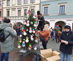  Zamojskie przedszkola i szkoły dekorowały choinki