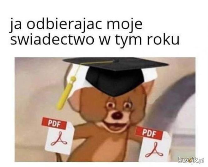Memy o koronawirusie