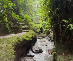 Julia Wieniawa na Bali 