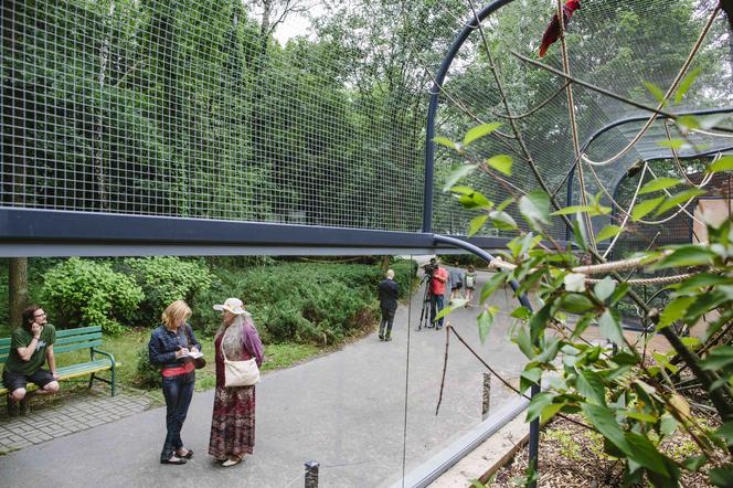 Papugi z łódzkiego zoo mają nową, przestronną i oszkloną wolierę